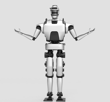 人形機(jī)器人